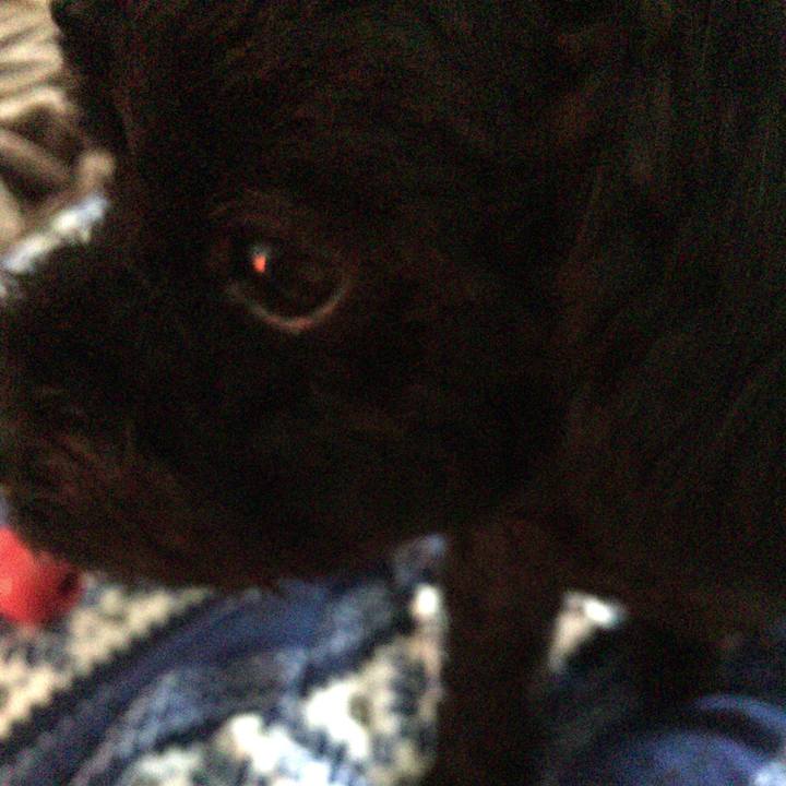 274a16f1 551b 4b3e 9f89 e9546e6cc59d