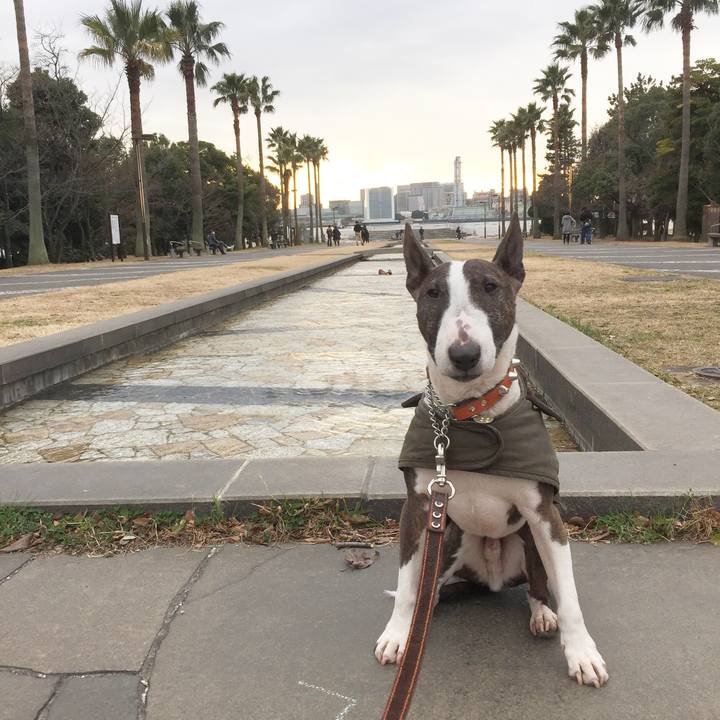 274a7d0c b1bb 4886 a677 e1b14bdd14d4