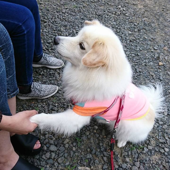 274aaa45 3a0c 4926 ab2a 4e0e1dfa0d87