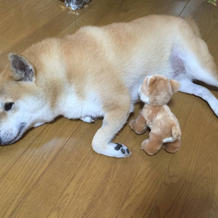 274af8b1 d2b8 4806 a822 8d0602b7ade9