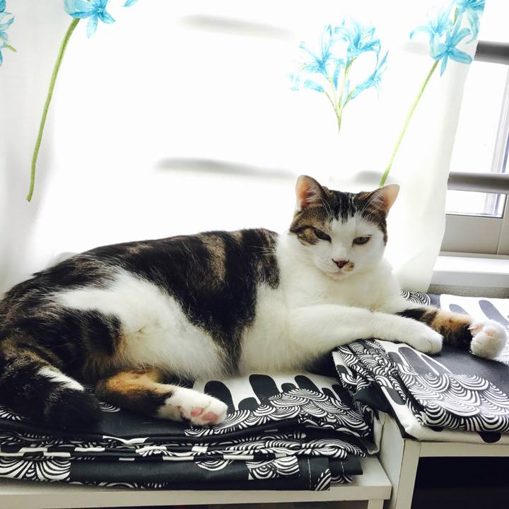 274b494e ac39 4f62 95c5 ee6c7f14e69f