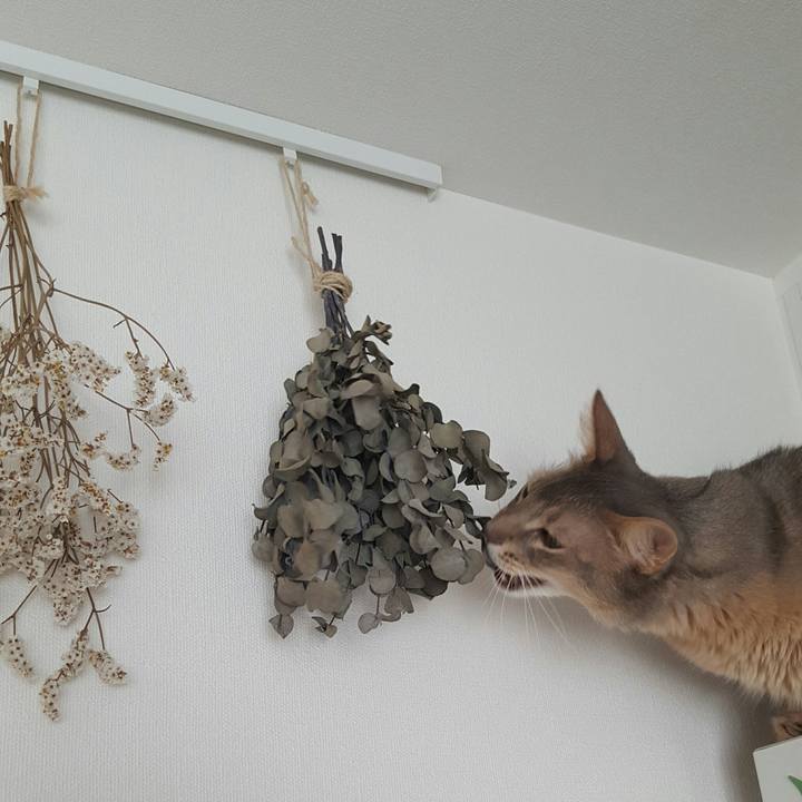 274bc5b5 86d8 47f3 9117 68f9ddd80c58