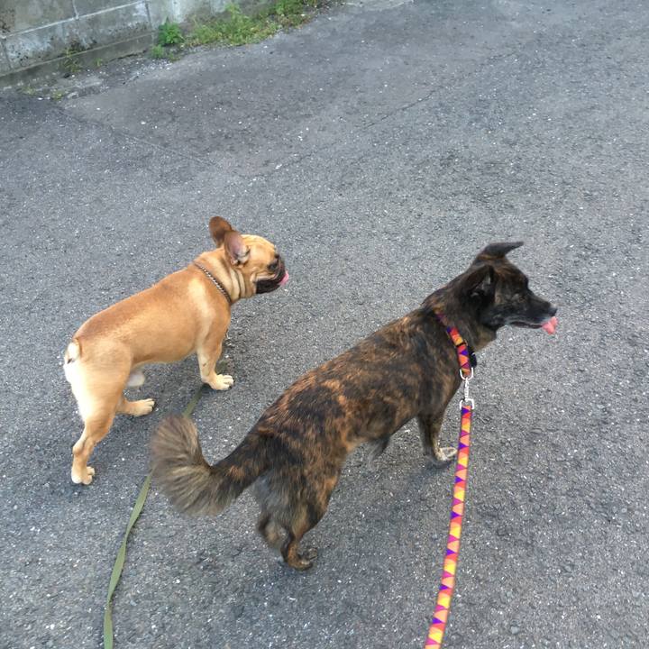 274be6b9 6a18 4b1a b737 9ac03ca89730