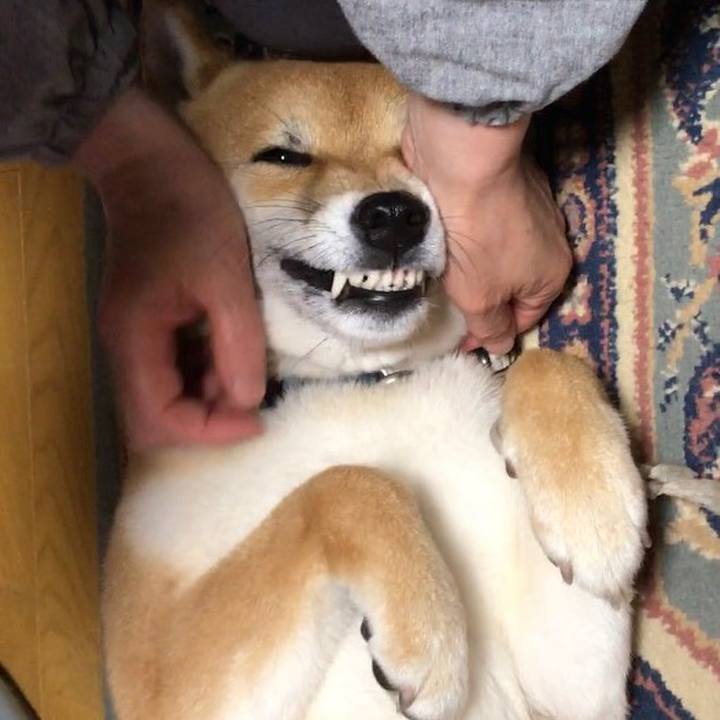 274ce516 837a 40b0 83e1 87abf054efb7