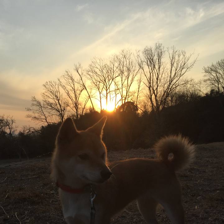 274d0803 89a9 410d b4b2 707d9842f89c