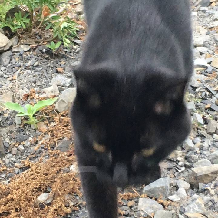 274da59a 0ce6 46a4 8cb8 53604ad4bde5