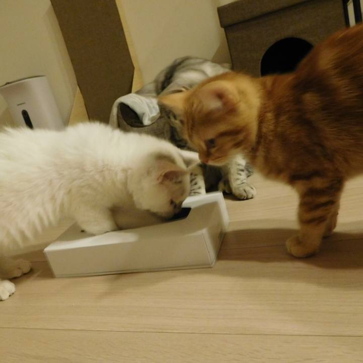 274e8456 3642 43ff 882f 5b7b79adb9b9