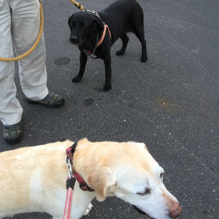 274ea6b5 74f3 4ff3 bb7c 2b5322de4e8c