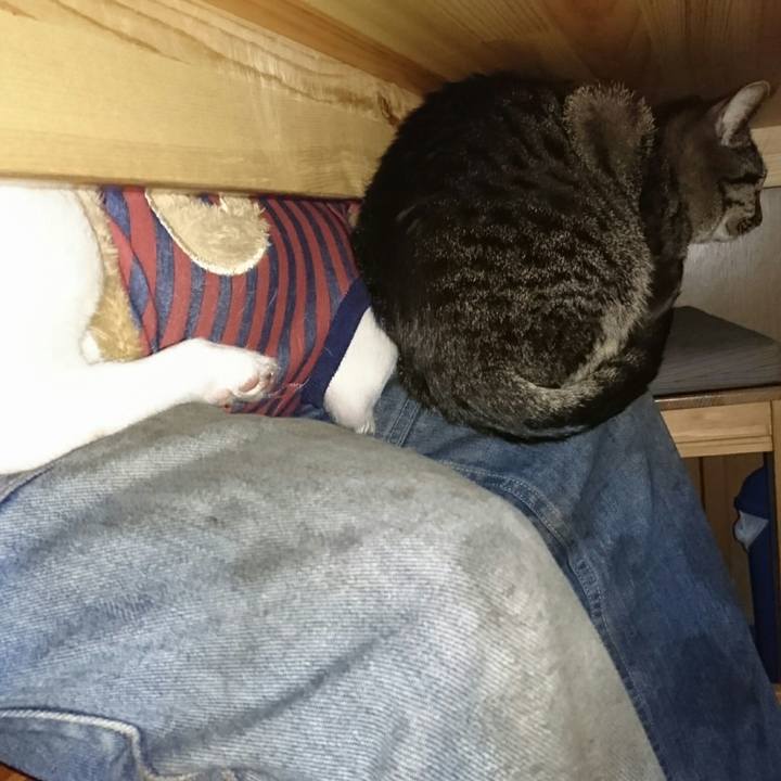 274eb107 3273 4429 862d cc76a0cfdae2