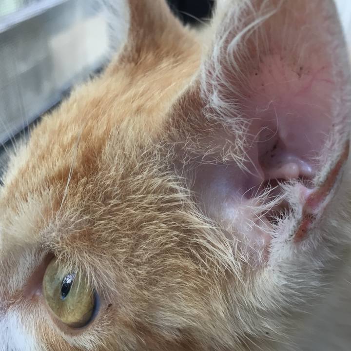 274f3b2a 96ac 454a bf82 e2e4399701e0