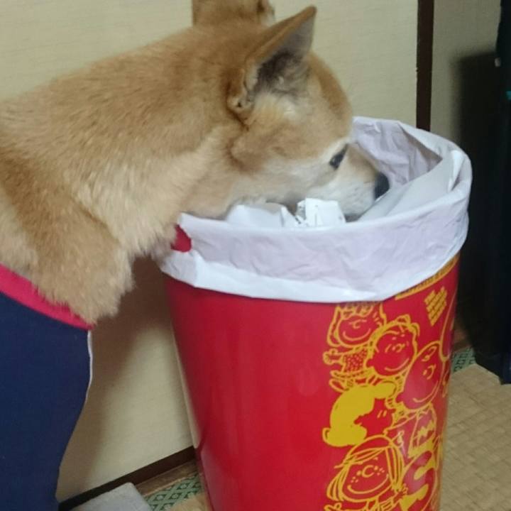 274fbdb5 1e64 4092 ada0 9dc402a9b0eb