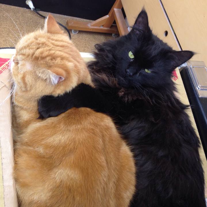 27506e57 a092 48bd 9bd7 8a54c3d98e8c