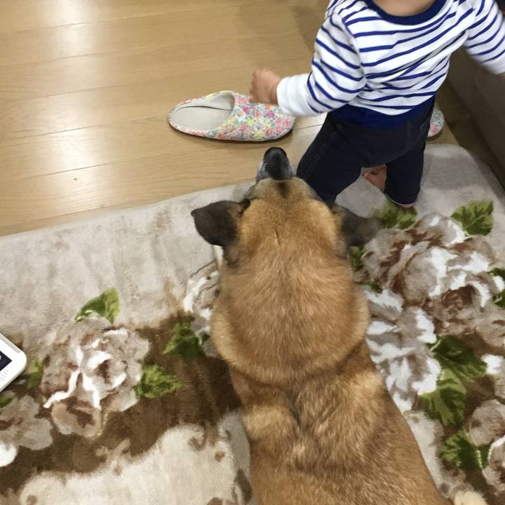 27509aa3 a590 47a0 949c 5c69a7363513