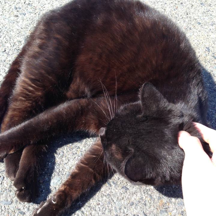 2750e20e f876 4308 92c2 29f9ec5fc383