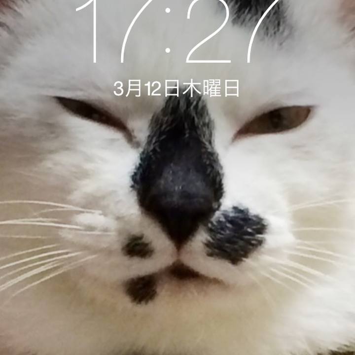 27510fc7 51c5 43a7 a05f b81a75d6ac6a