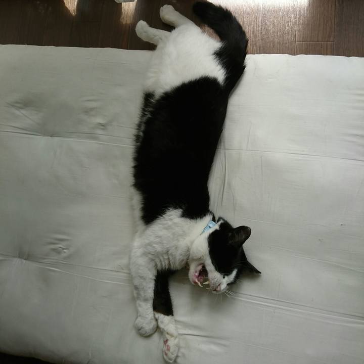 2751b88e a166 48e9 9a13 0fe43cf004a7