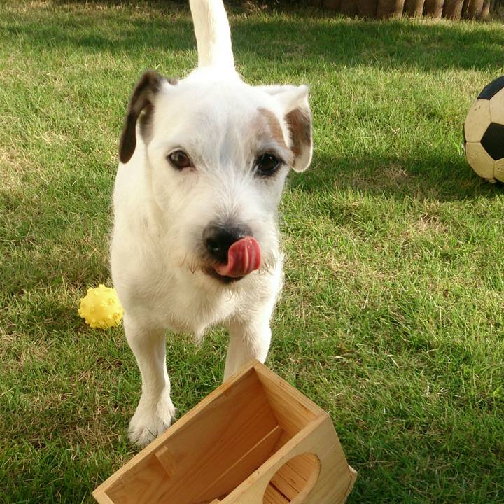 2751eda1 f160 459b ab53 0dba70a28002