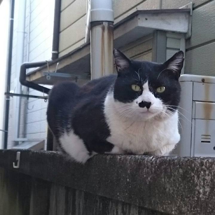 27521ed1 4867 414d 92fb 6b9d37107c8d