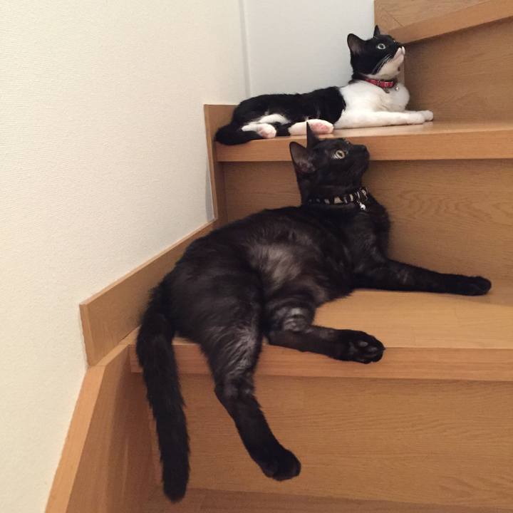 2752217d 4551 46f1 b235 8bdecad7bfd9