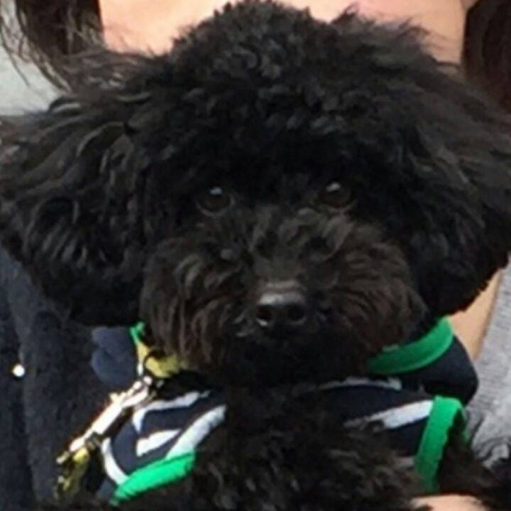 27524108 fb7c 4db6 979a a0ae7ed6133c