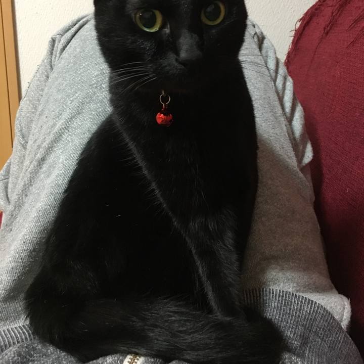 275241a7 c545 482d 9bb3 ee6216c5c535