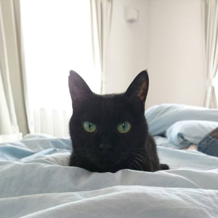 2752625e 22fa 46a1 912b 04a9706d98ea