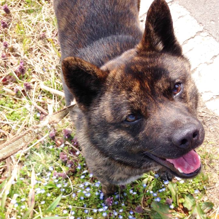 27527510 7f0e 43b7 b7da 6d683830d3c3