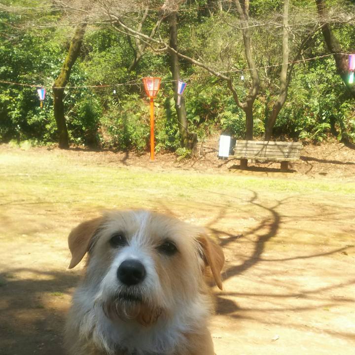 275337f8 f634 415a b524 b0c8ce86e8c6