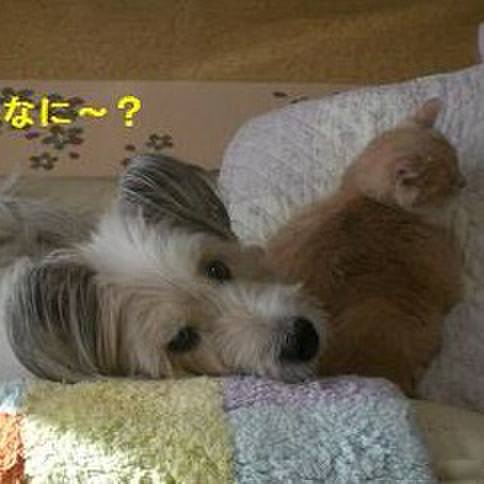 2753ef9f dc9d 4e91 8af3 16a8c5c76e96