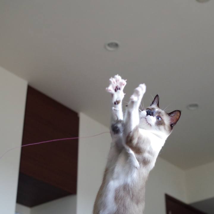 2753f4aa 73cd 4be8 be86 9d5d6d94d8f2