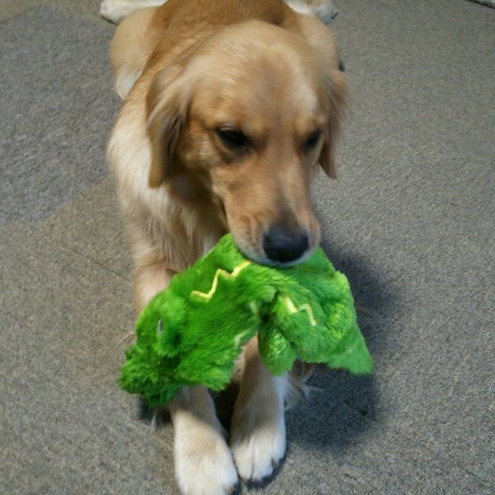 275416c4 1ca1 4506 8ce3 6390375dbe0b