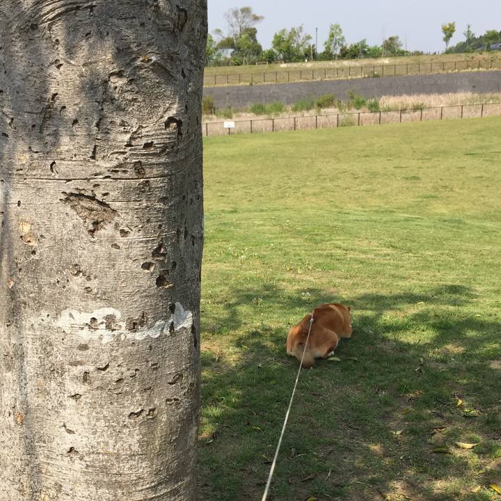 2754a8d0 db60 4000 83f6 22499ba50084