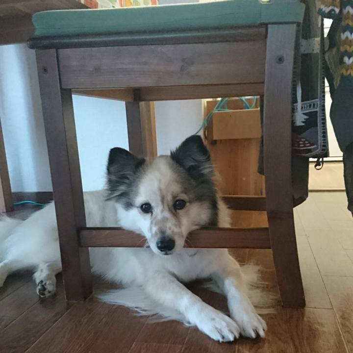 2754cfea 25da 4acf a01d 395fceafafc2