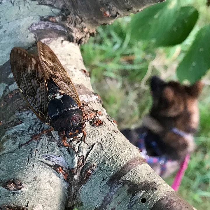 2754f17e 66ee 45d0 aded ced4f6771962