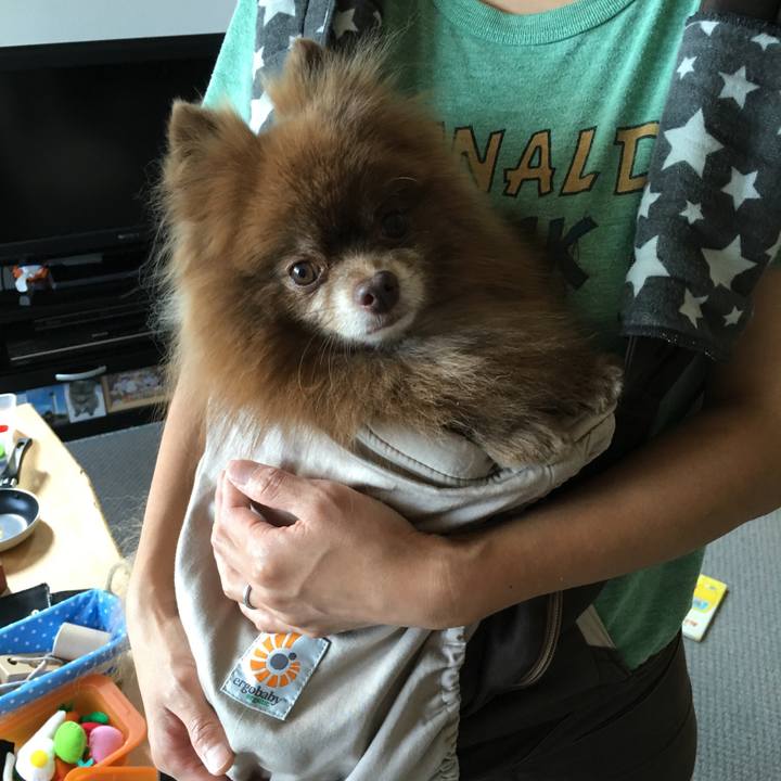 27555ec2 c94f 4052 bc5d be69cba8592a