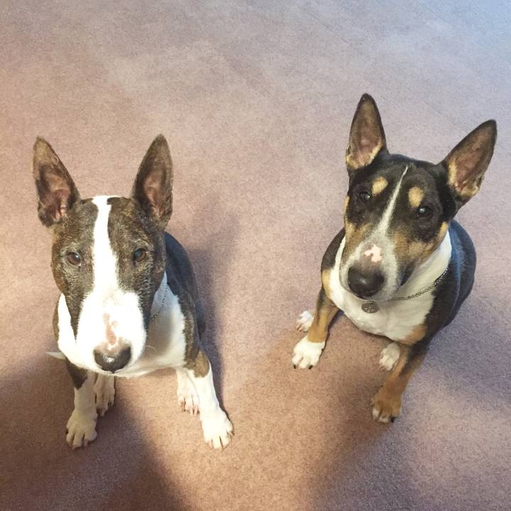 2755ffbb 98d4 468c 94e2 6f0c9226f15c