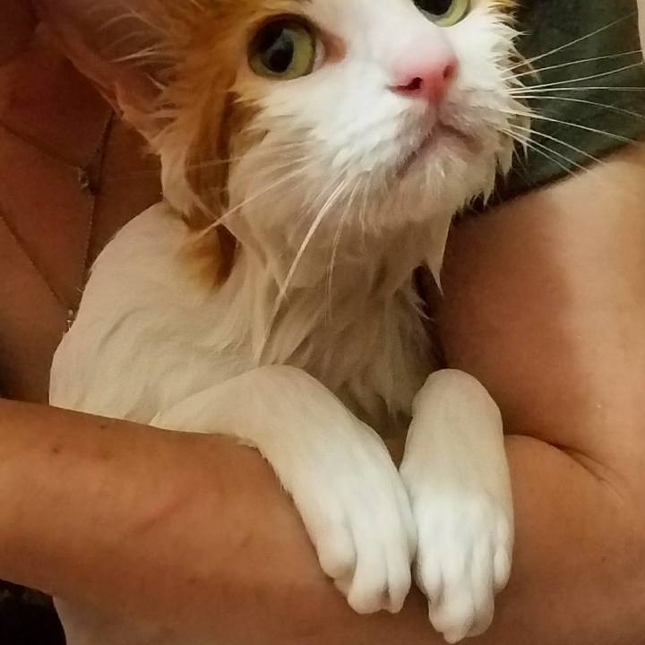 2756c750 1f06 4e6e b087 fc97aaafb29b