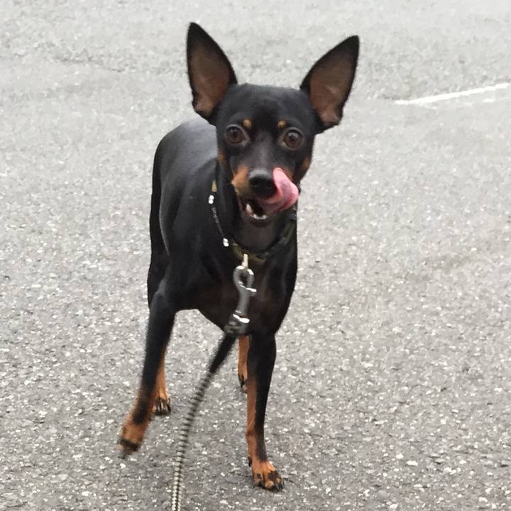 2756df18 b904 4182 8570 938f9d2ad55e