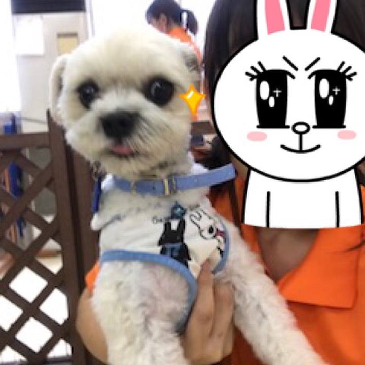 2757318c d474 4391 bdcf d60082af9179