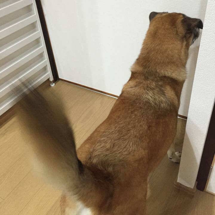 275740ed a4f6 4d97 b283 a389ae121946