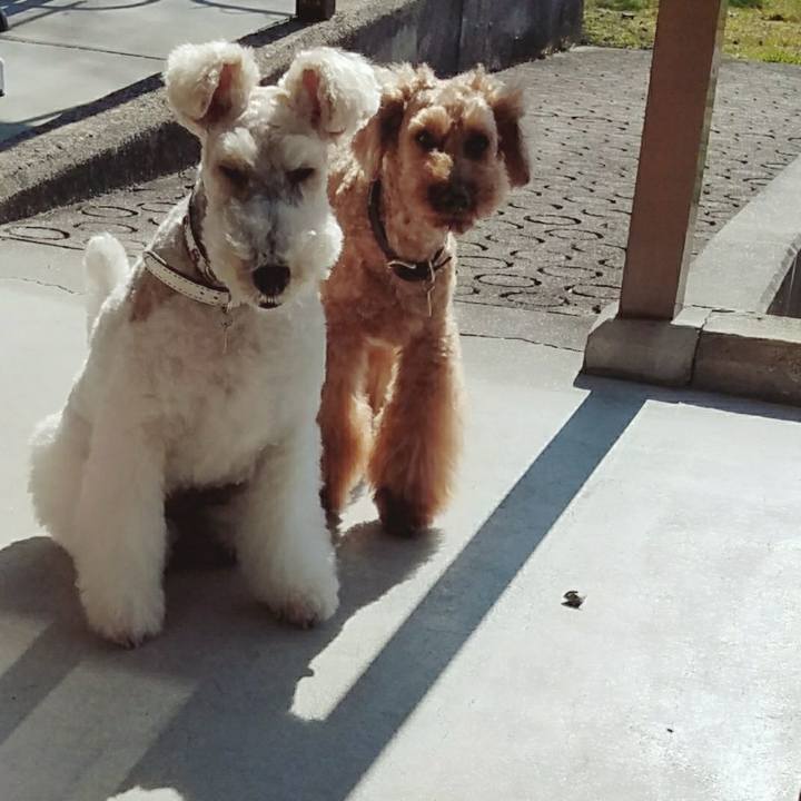 27575203 99ab 4239 8ef8 e8f3e1fa2c93