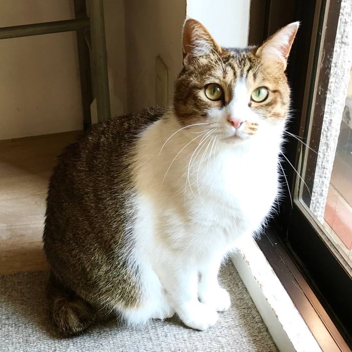 2757fa66 bc77 4137 adc7 378b3e08dc4d