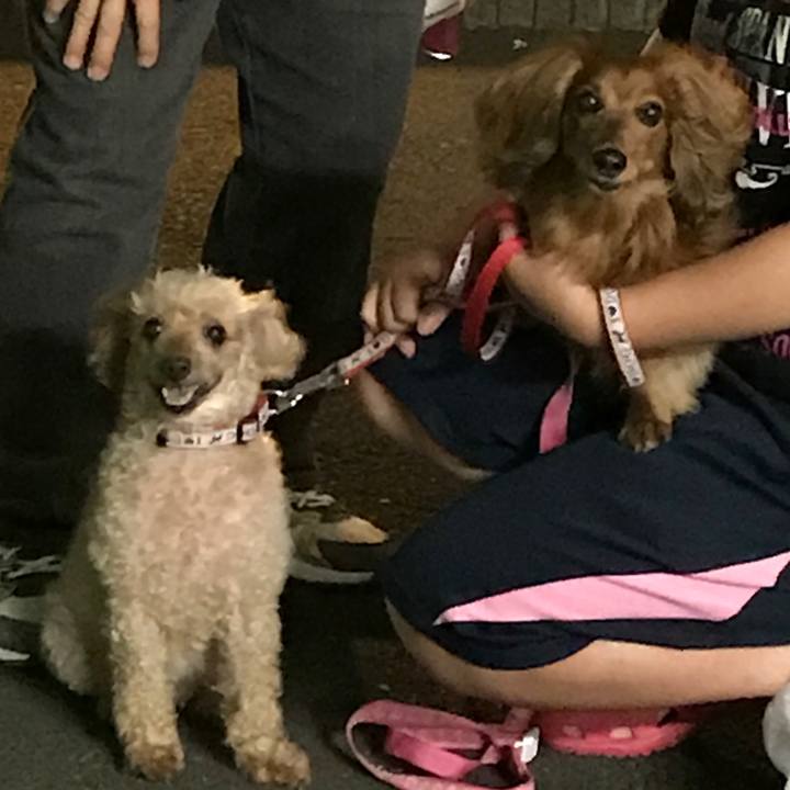 275966d5 3fd6 4fba 87b8 ea3f95164d33