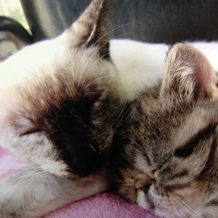 27599400 f69f 43e4 9f06 2ba5373ee850