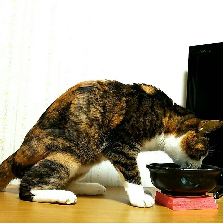 275ab4dd f7cb 4ecd 880c 5f93be5eb376