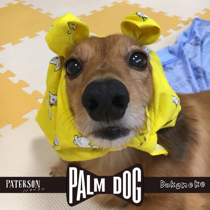 275ae120 8511 484e 8350 bcb74ee30793