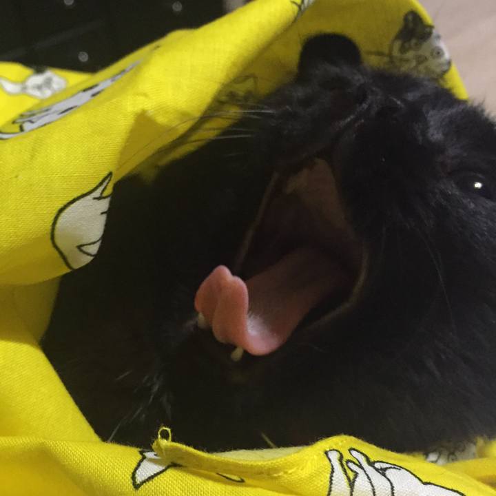 275af787 f186 45b5 b255 446668e3f6a2