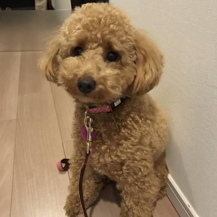 275b8948 6b4a 4496 a20e b41c847ce2e9