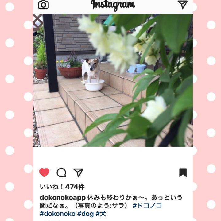 275ca82f b3d8 4852 9b67 43862ae6e0f4