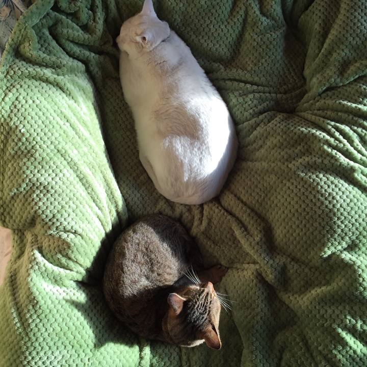 275d1b57 ac20 42a9 bebf a990a3f49e2c